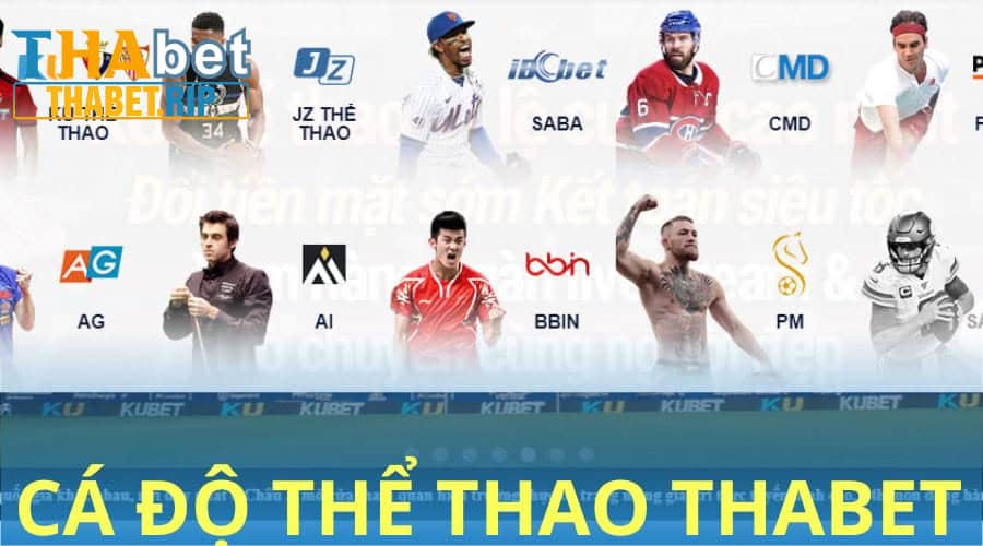 12 sảnh thể thao của Thabet