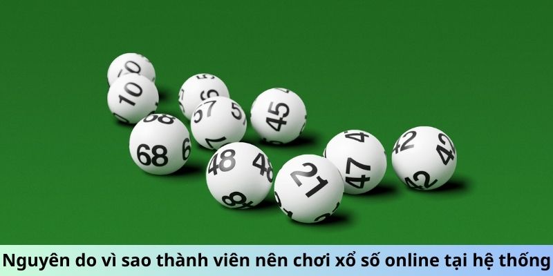 Nguyên do vì sao thành viên nên chơi xổ số online tại hệ thống