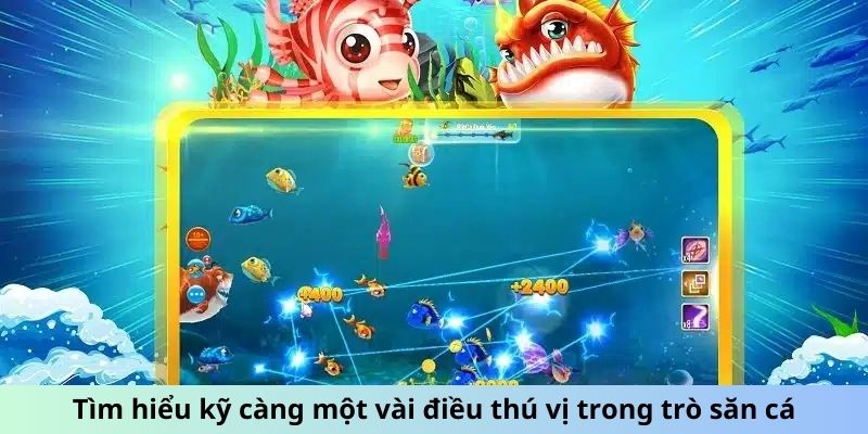 Tìm hiểu kỹ càng một vài điều thú vị trong trò săn cá