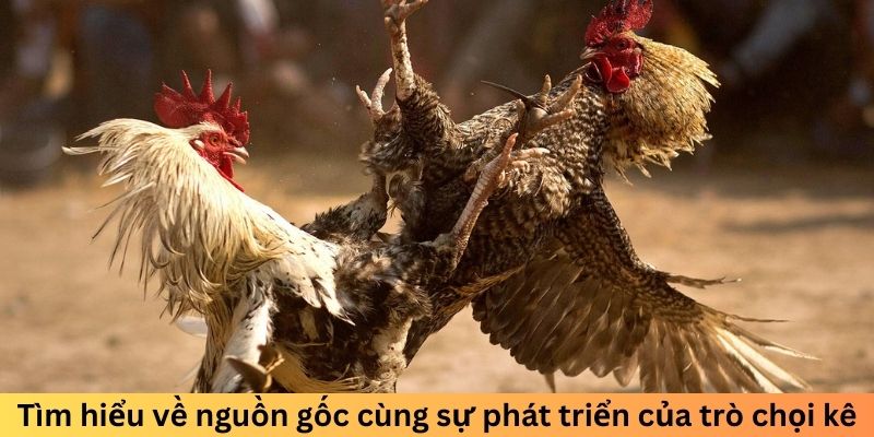 Tìm hiểu về nguồn gốc cùng sự phát triển của trò chọi kê