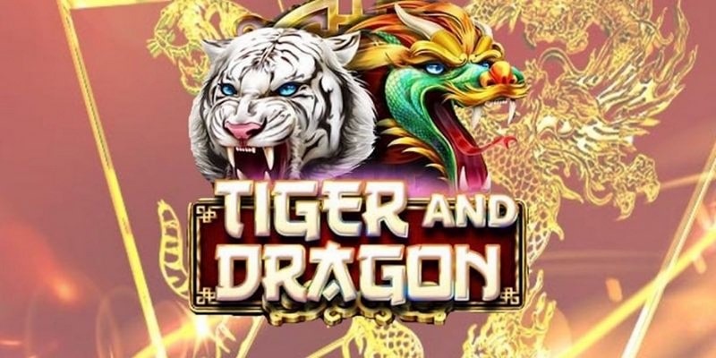 Chỉ nên đặt cược một cửa khi chơi rồng hổ online là gì để đạt hiệu quả